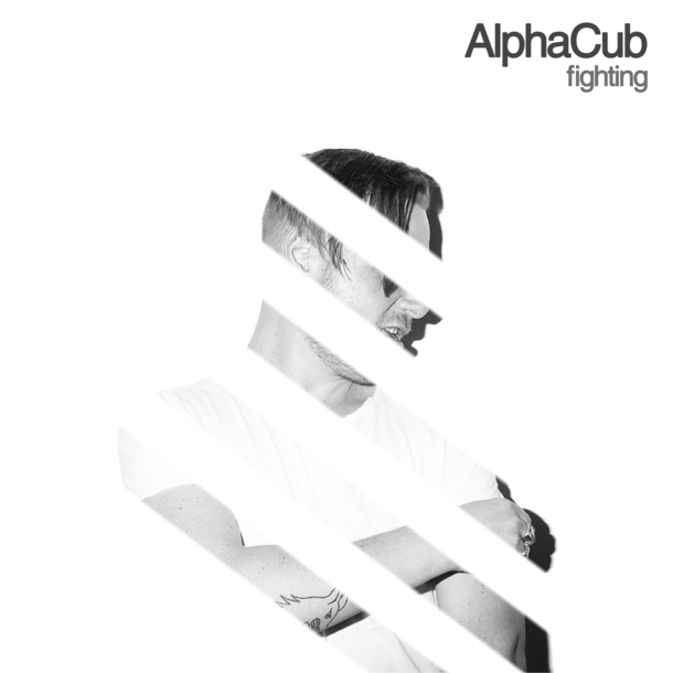 AlphaCub - Fighting